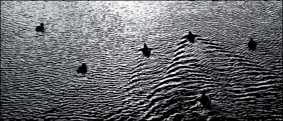 Water XXXII - ID 006021