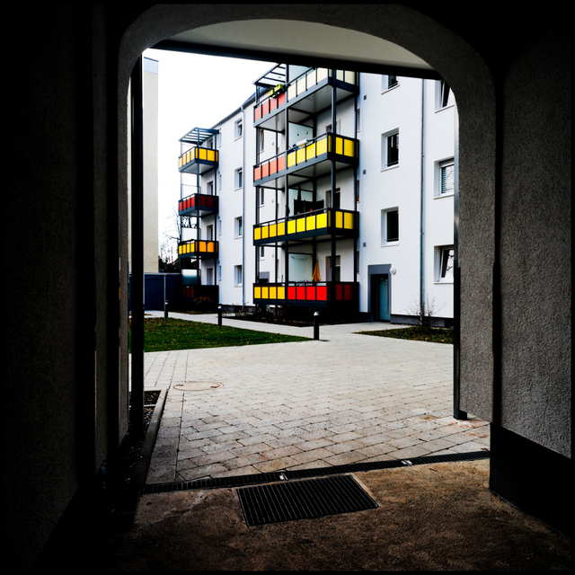 Backyard Colors - ID 006041