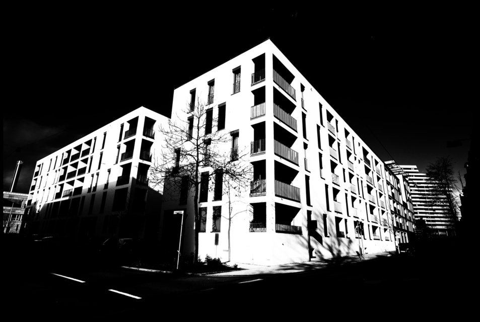 New White House - ID 006042