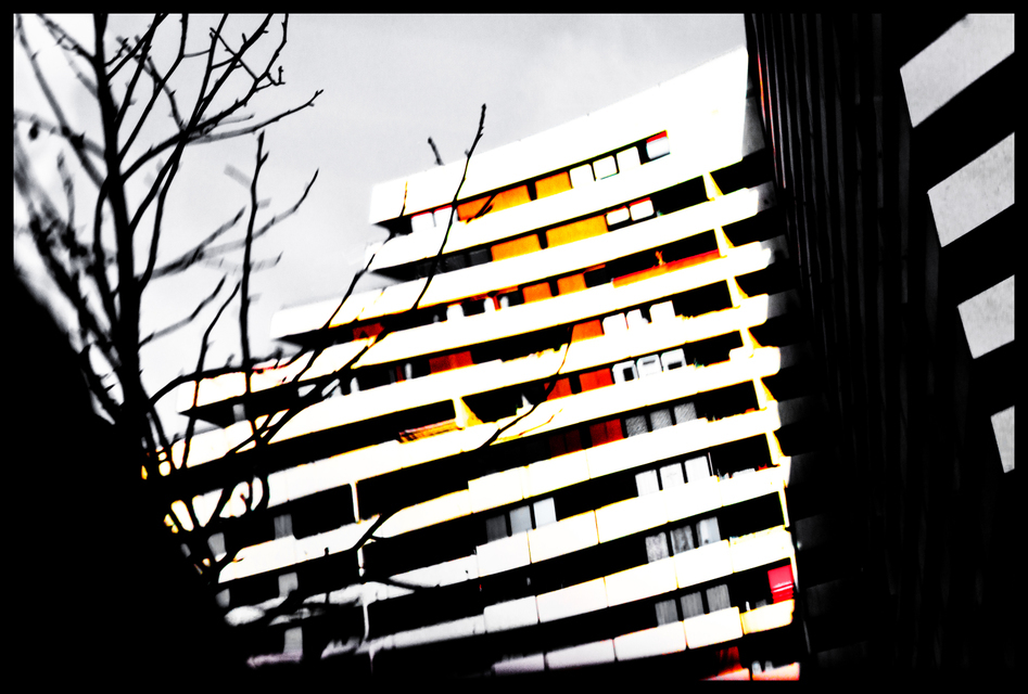 Reflexion IV - ID 006049