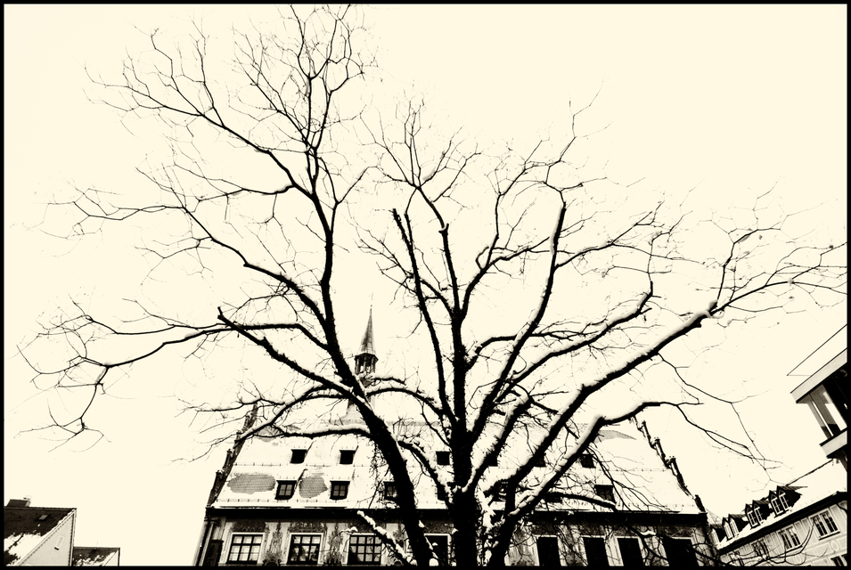 Winter Town Hall - ID 006090