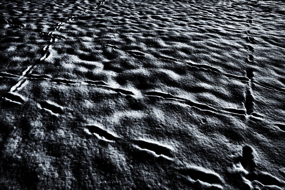 Winter Traces II - ID 006092