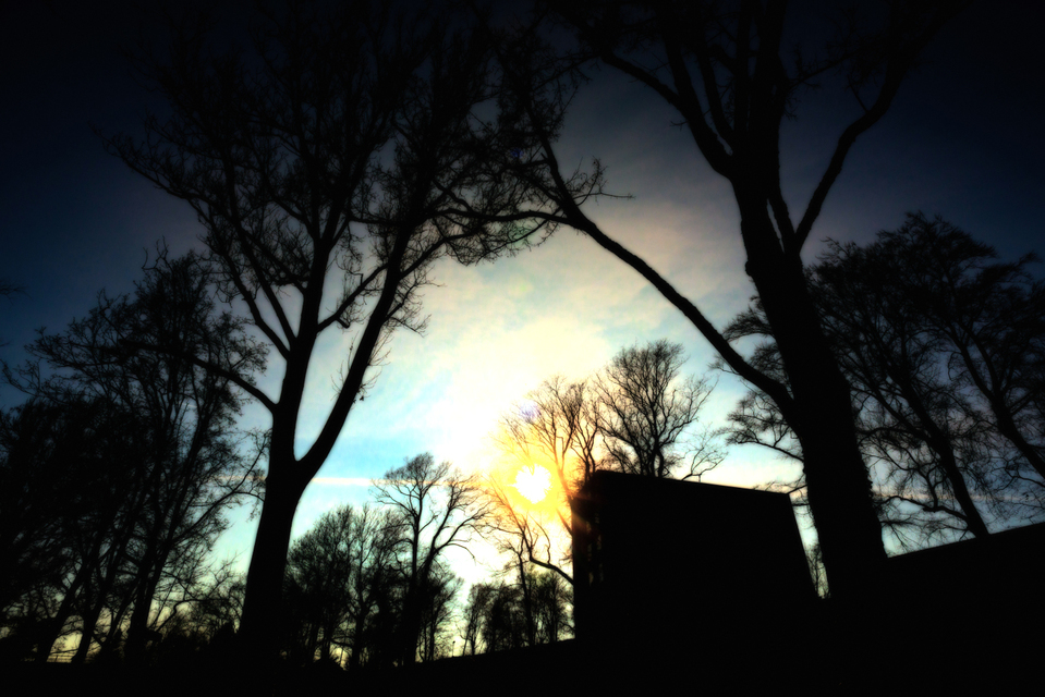 Winter Sun - ID 006107