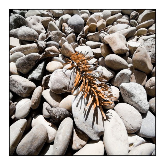 Stones Plus - ID 006131