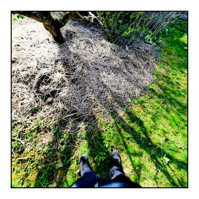 Below the Apple Tree - ID 006149