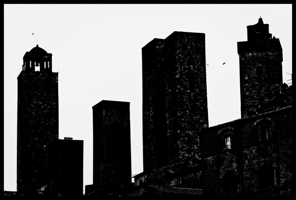 3 Birds and a Window - ID 006254