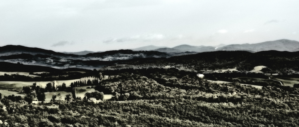 Tuscany Idyll - ID 006290