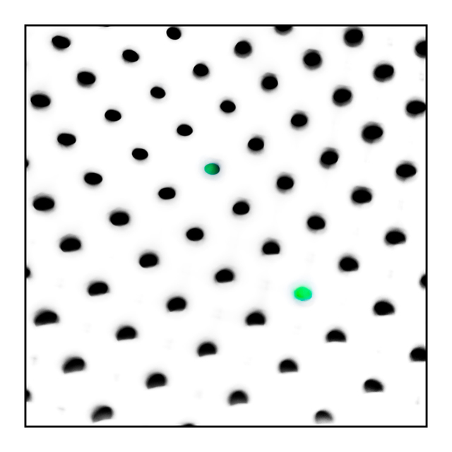 One and a Half Green Dots - ID 006318
