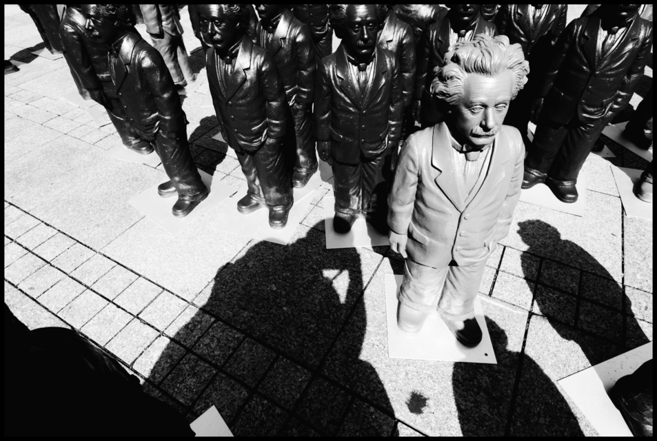 Grey Albert II - ID 006343