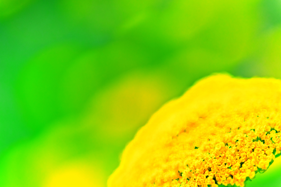 Greenish I - ID 006358