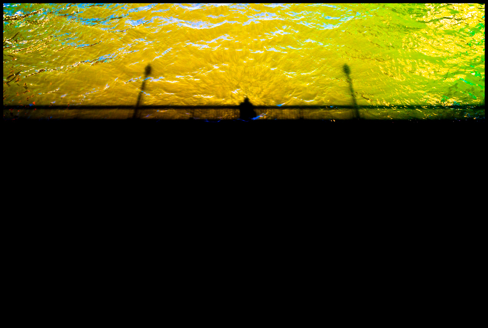 Yellow Green Danube - ID 006411