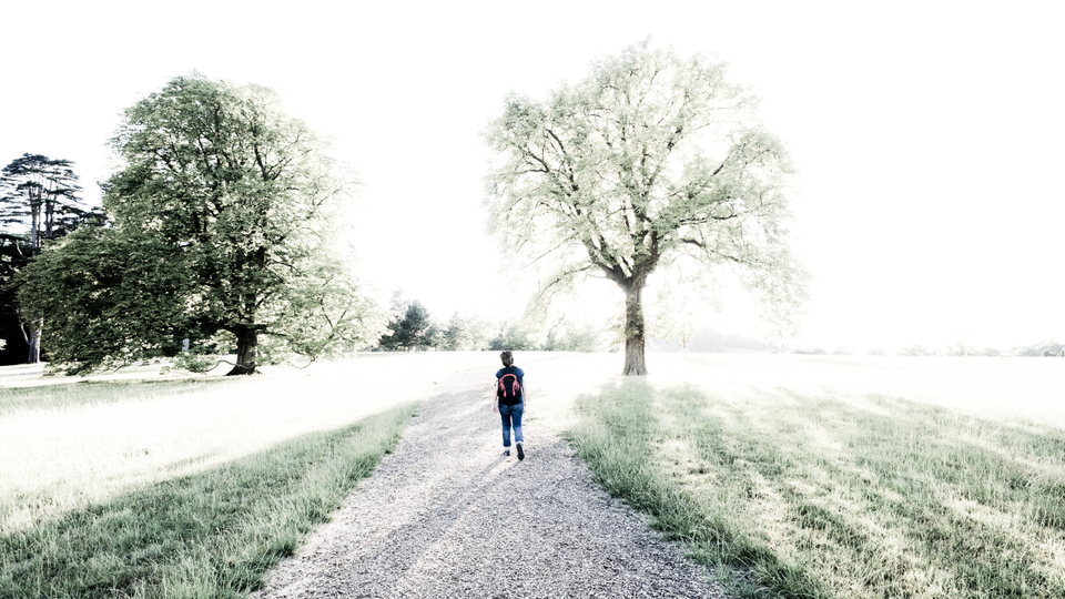 Castle Front Yard - ID 006414