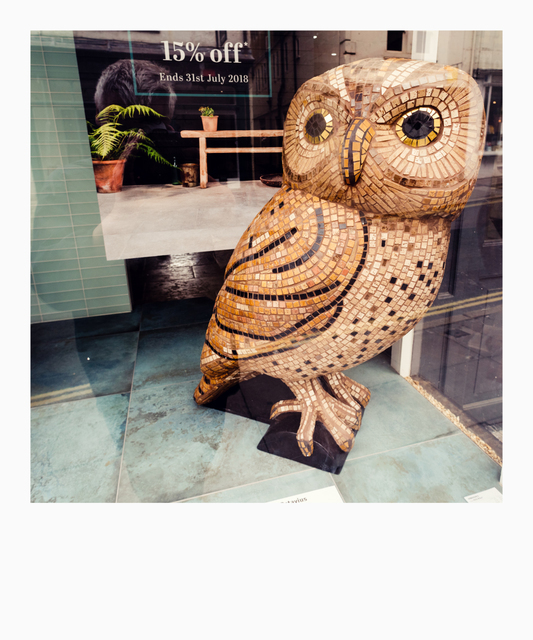 15 Percent Off Owl - ID 006492