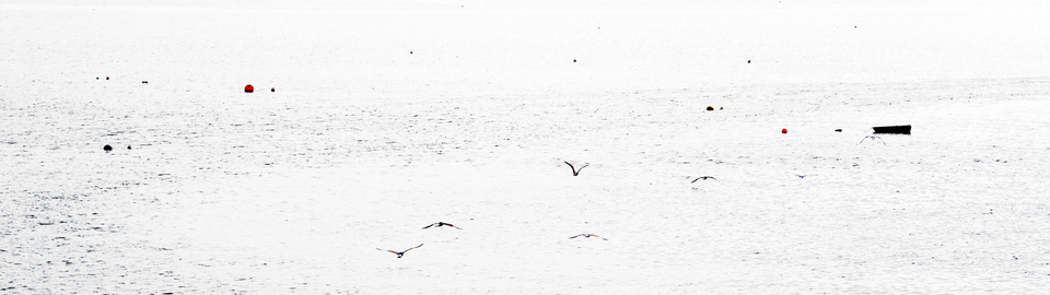 Low Flying II - ID 006537