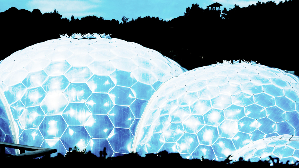 Pomegranates I - ID 006567