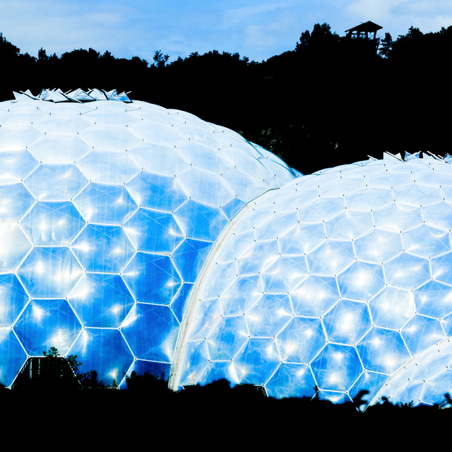 Pomegranates II - ID 006568