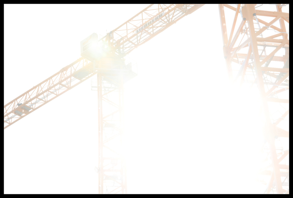 Bright Sun Cranes I - ID 006663