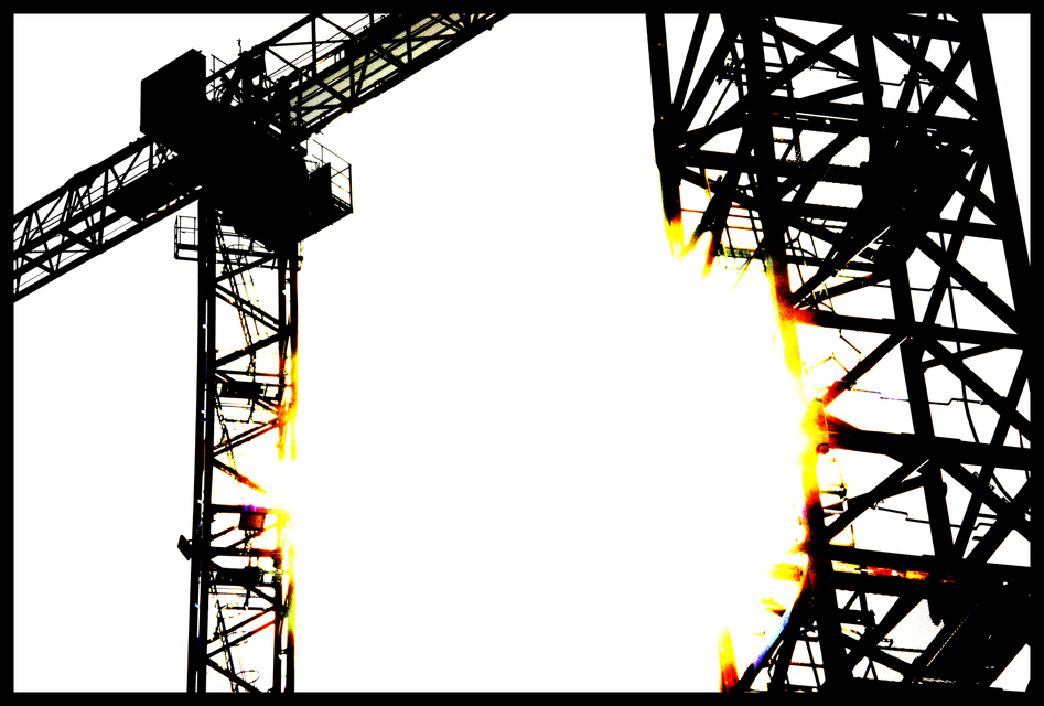 Bright Sun Cranes II - ID 006664
