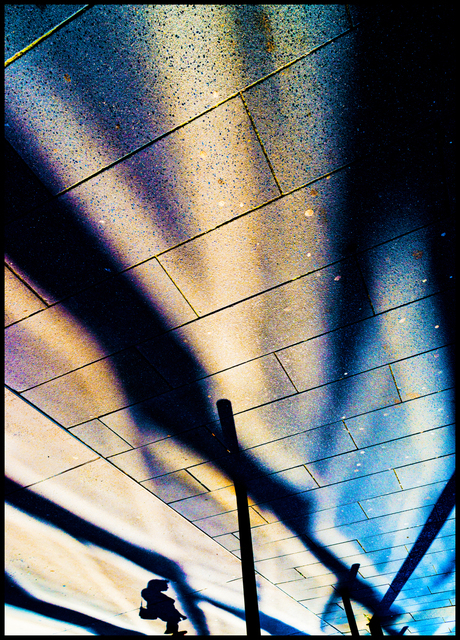 Shadow Dancer - ID 006677