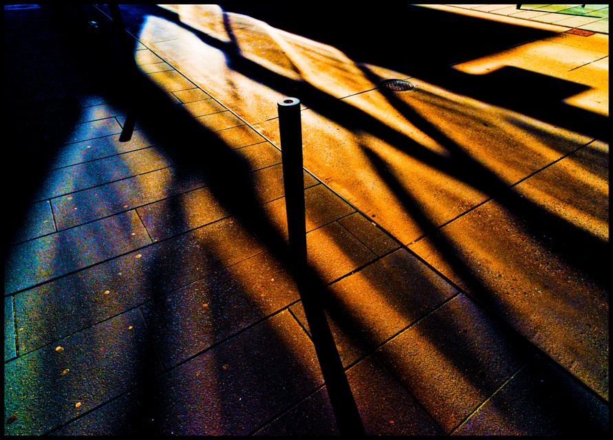 Shadow Color - ID 006678