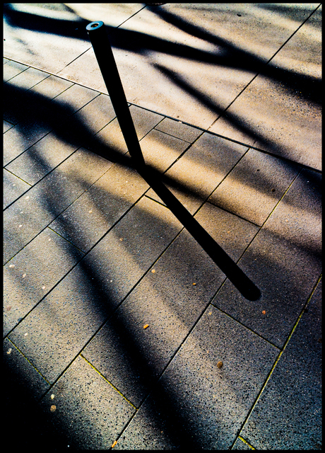 Lights and Shadows - ID 006679