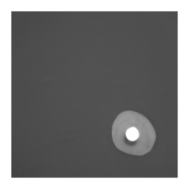 Sun with Halo - ID 006698