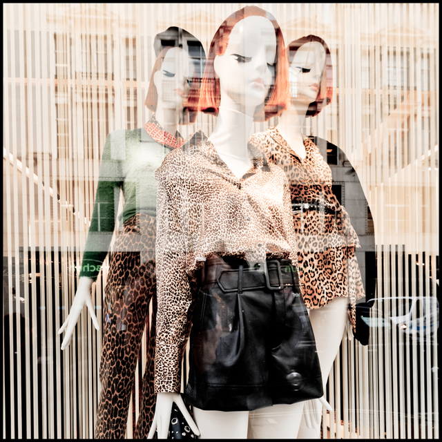 New Look - ID 006798