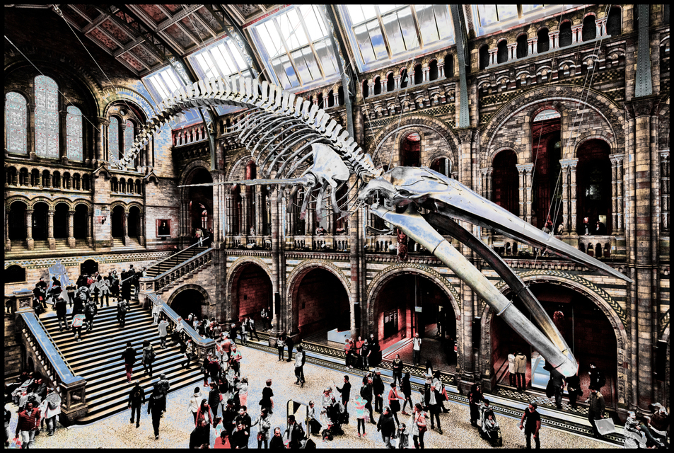 Main Hall with Whale II - ID 006888