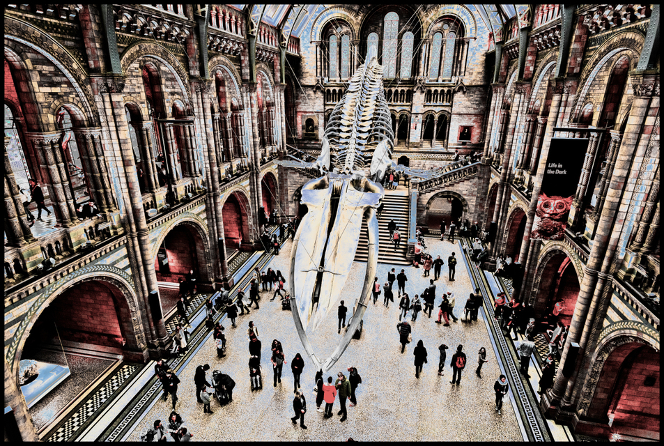 Main Hall with Whale III - ID 006889