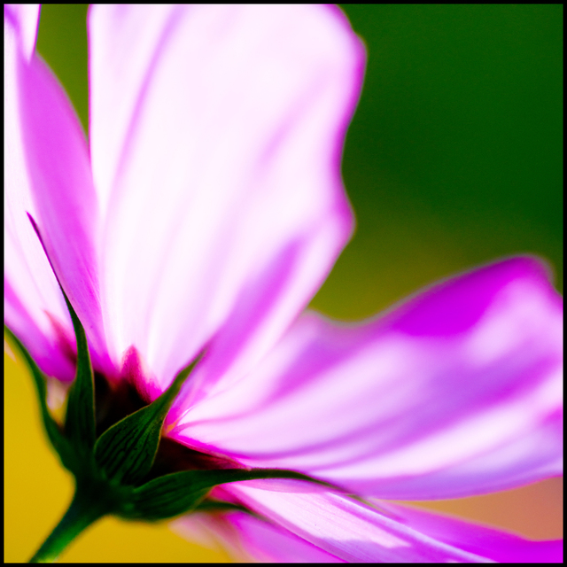 Pink Flower X - ID 007126