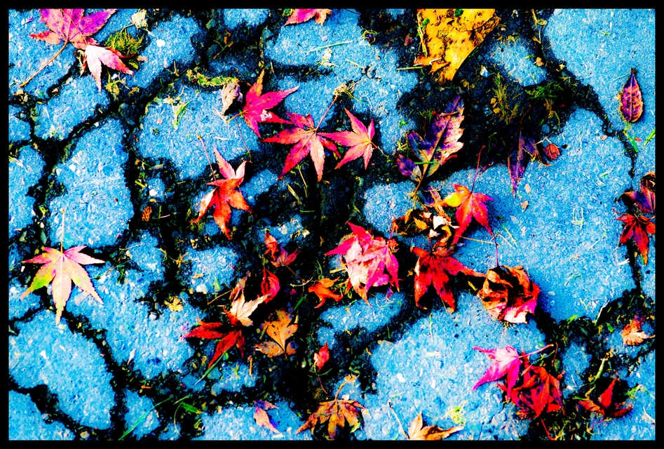 Ceiling Ground - ID 007130