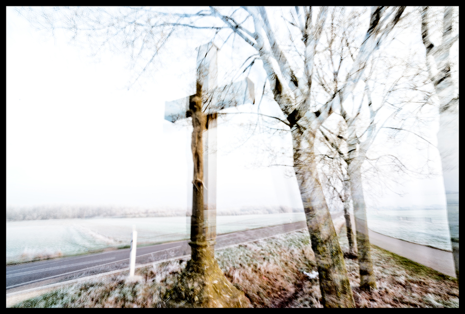 Cross by the Trees - ID 007142