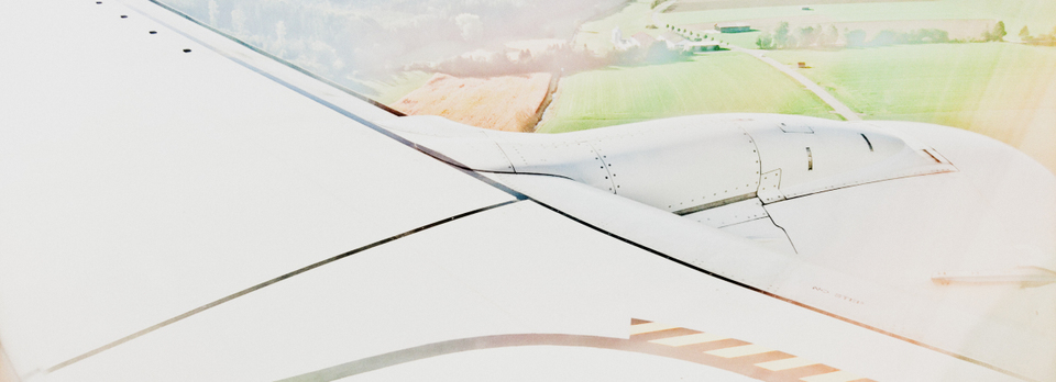 Over Grass and Woodland II - ID 007167