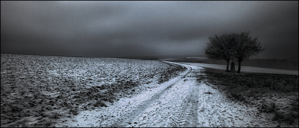 Country Lane - ID 007194