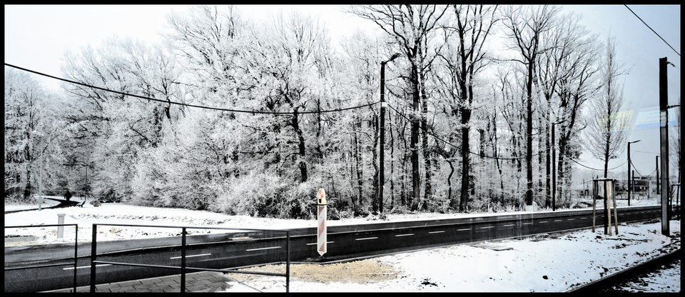 Streetcar Ride V - ID 007203