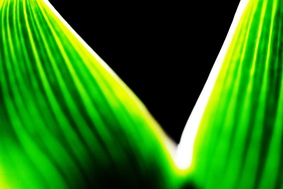 Triangle III - ID 007314