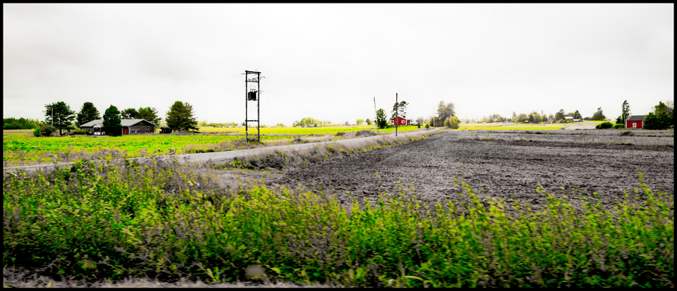 Red Houses I - ID 007327