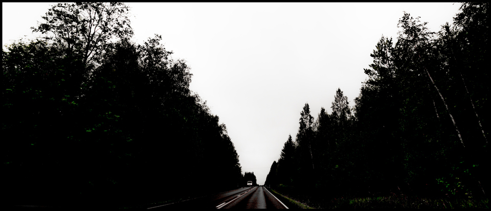 Forest Left and Right - ID 007331