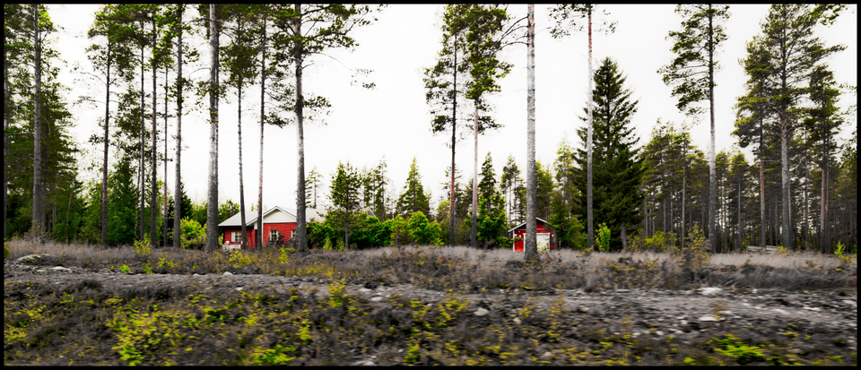 Red Houses between Trees - ID 007339