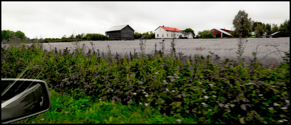 Finnish Field II - ID 007343