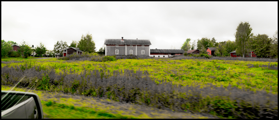 Finnish Field III - ID 007344