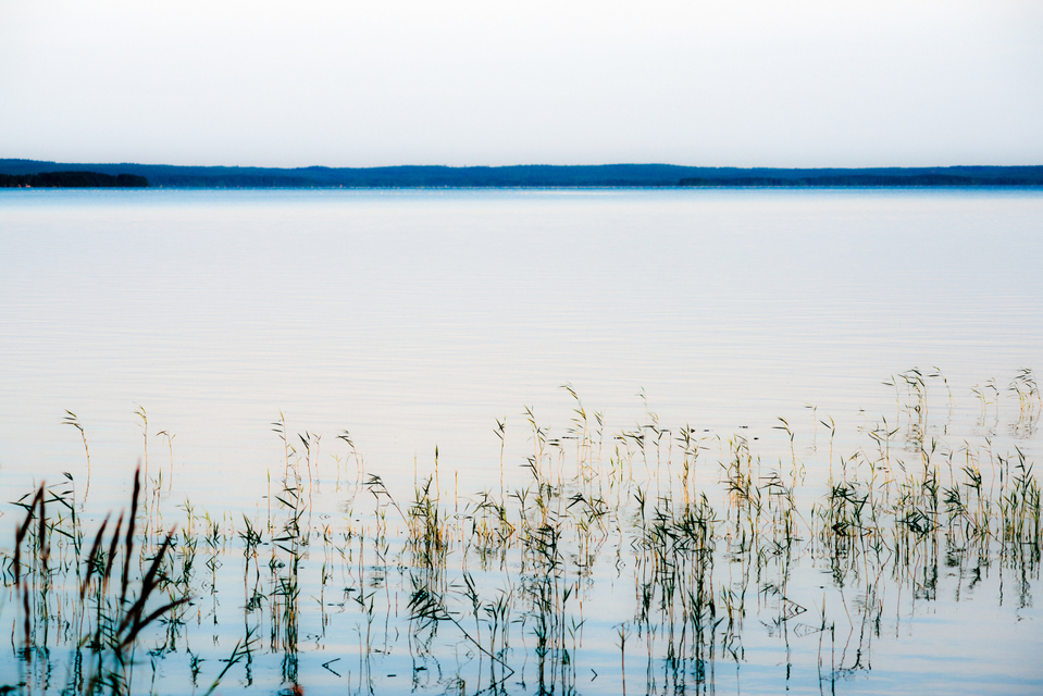 Evening Lake - ID 007364