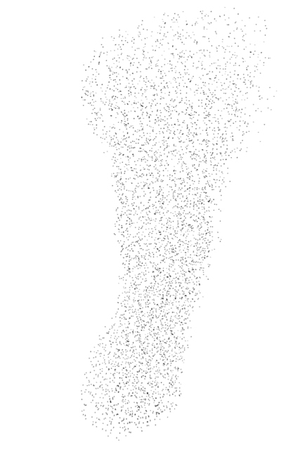 Swarm of Birds VIIIb - ID 007383