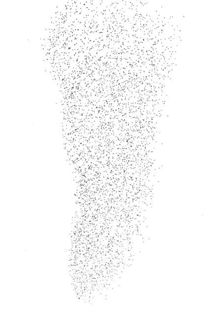 Swarm of Birds IXb - ID 007385