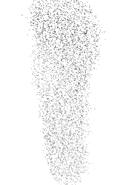 Swarm of Birds X - ID 007386