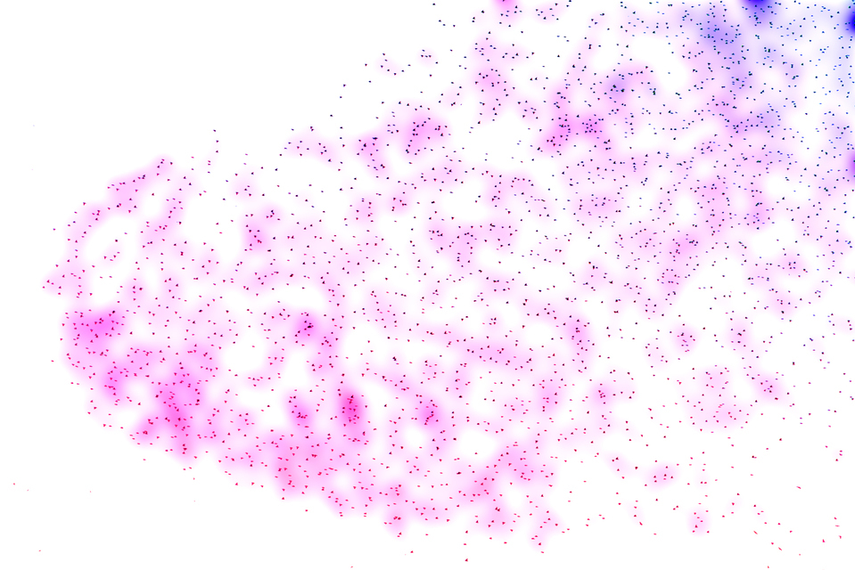 Colorful Swarm of Birds II - ID 007390