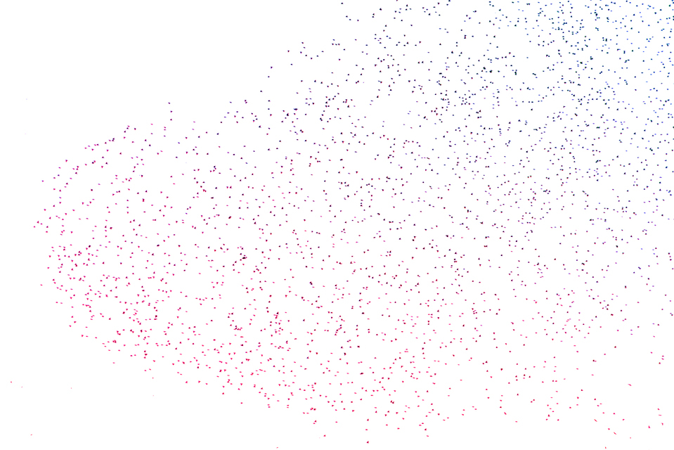 Colorful Swarm of Birds III - ID 007391