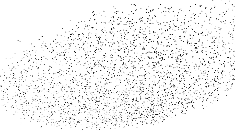 Swarm of Birds XI - ID 007392