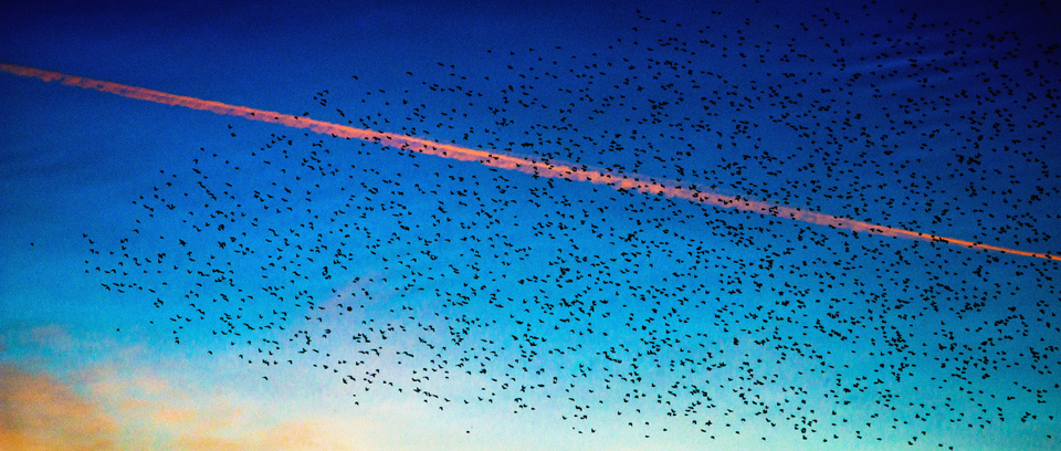 Flying on Two Levels - ID 007394