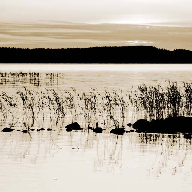 Last Light at Lake I - ID 007395